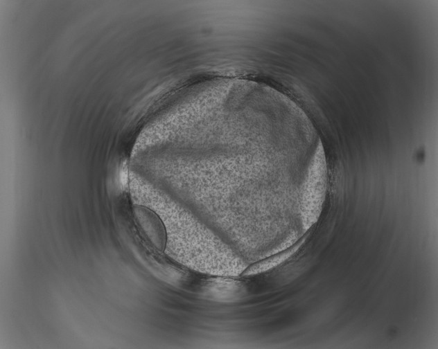 X0000116060095200912111538