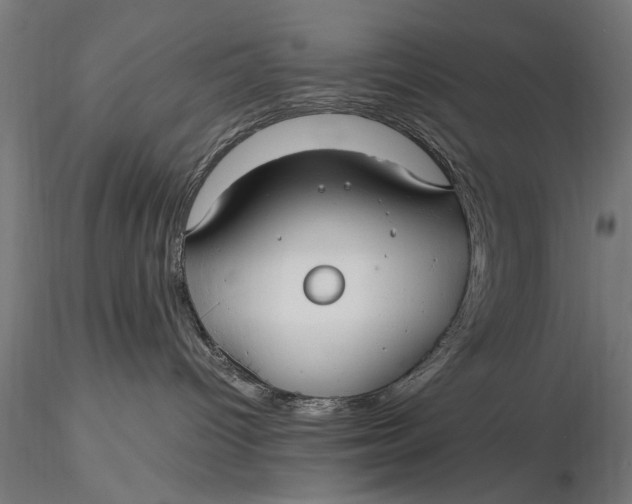 X0000116060096200912111538