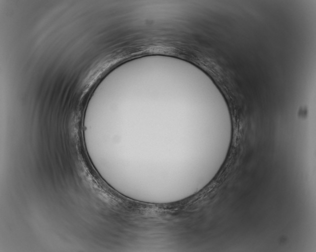 X0000116060098200912111537
