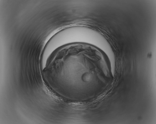 X0000116060100200912111537
