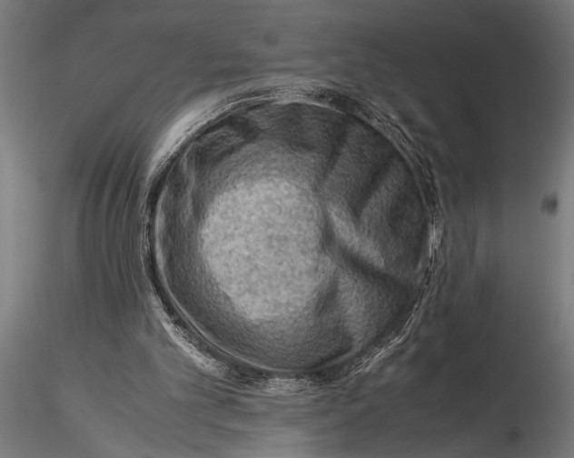 X0000116060101200912111537