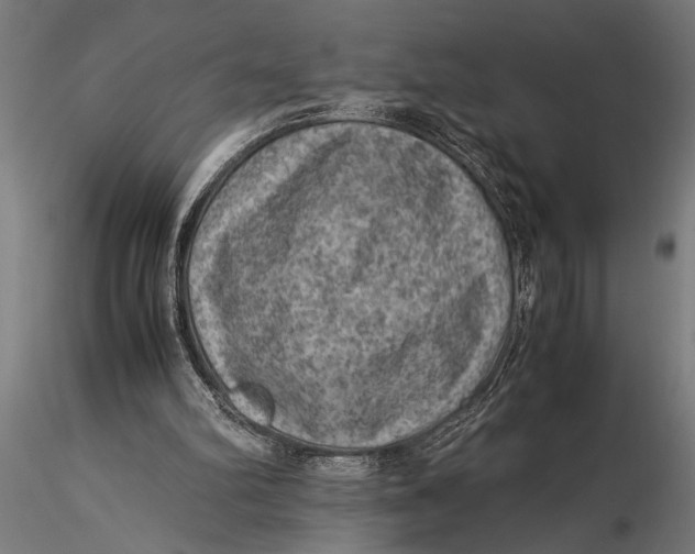 X0000116060102200912111537