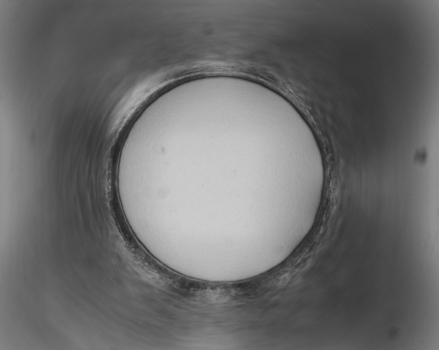 X0000116060103200912111537