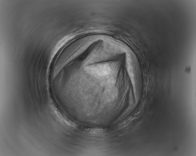 X0000116060104200912111537