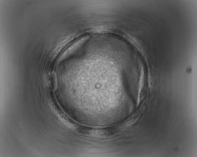 X0000116060105200912111537