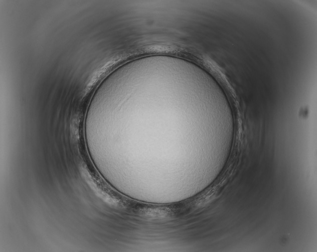 X0000116060106200912111537