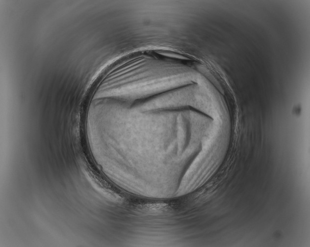 X0000116060108200912111537