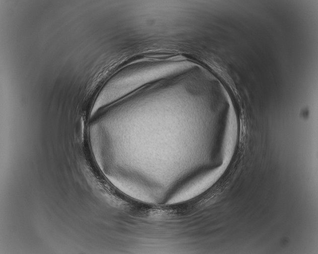 X0000116060109200912111537