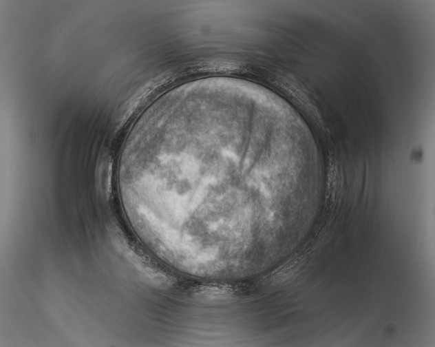 X0000116060110200912111537