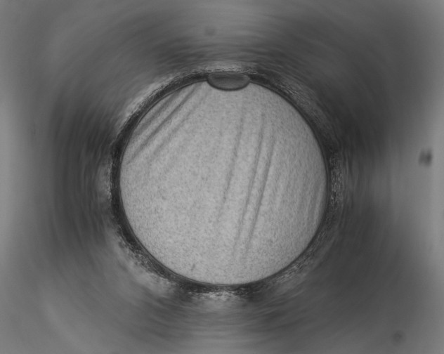 X0000116060112200912111537