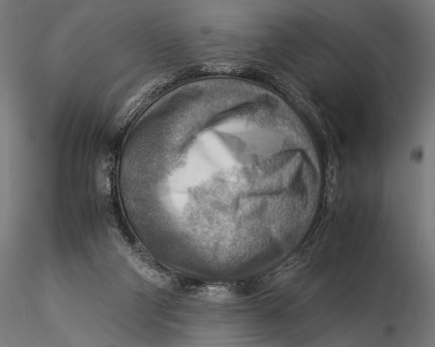 X0000116060114200912111537