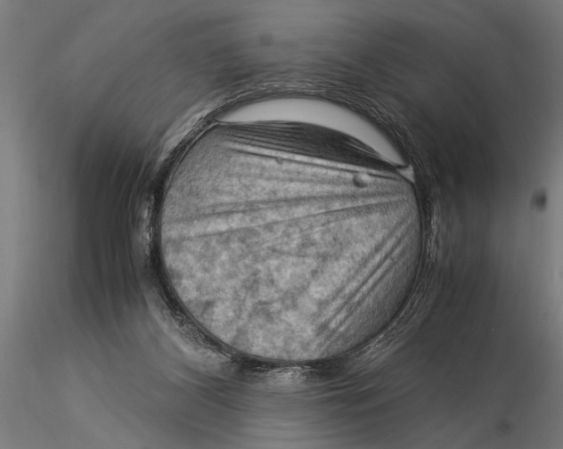 X0000116060116200912111537