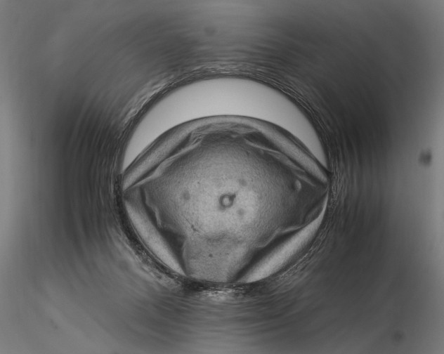 X0000116060120200912111537