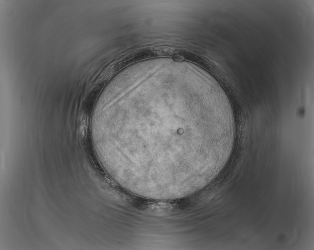 X0000116060125200912111537