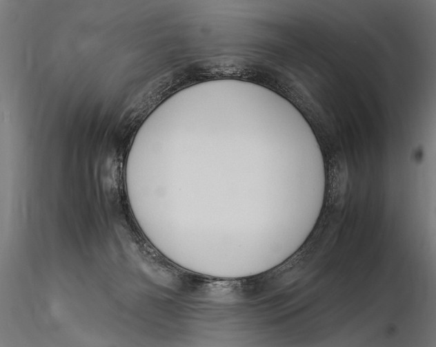 X0000116060126200912111537