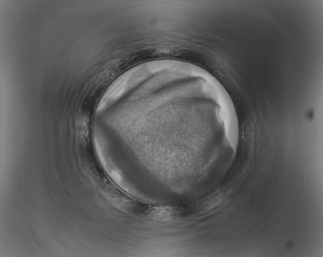 X0000116060127200912111537