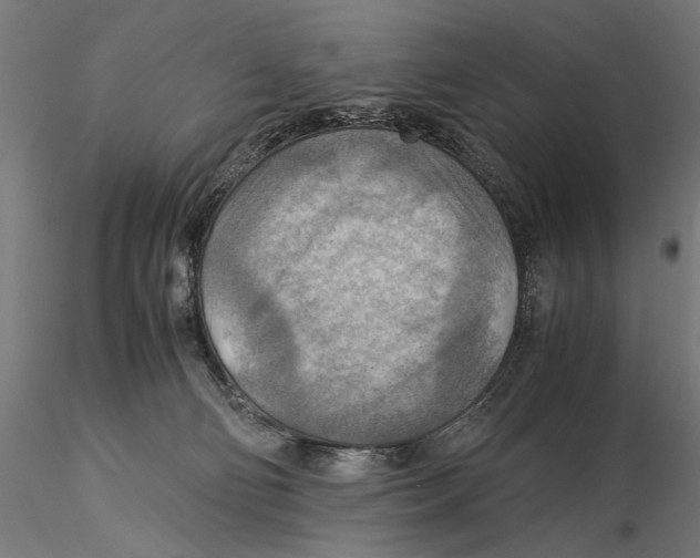 X0000116060130200912111537