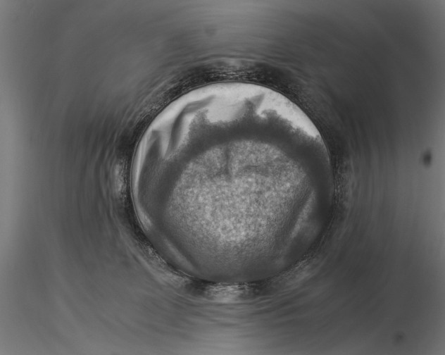 X0000116060131200912111537