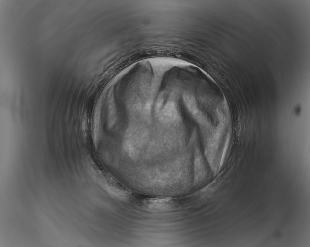 X0000116060132200912111537