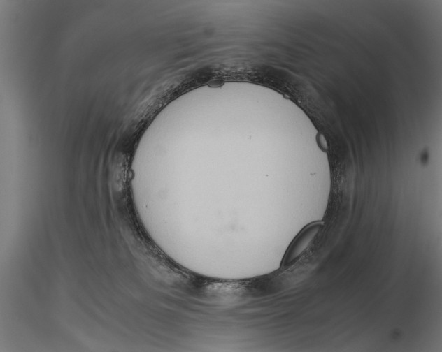 X0000116060133200912111537