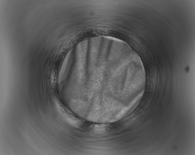 X0000116060134200912111537