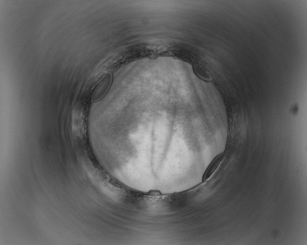X0000116060136200912111537