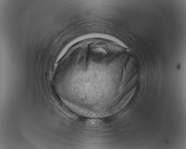 X0000116060137200912111537
