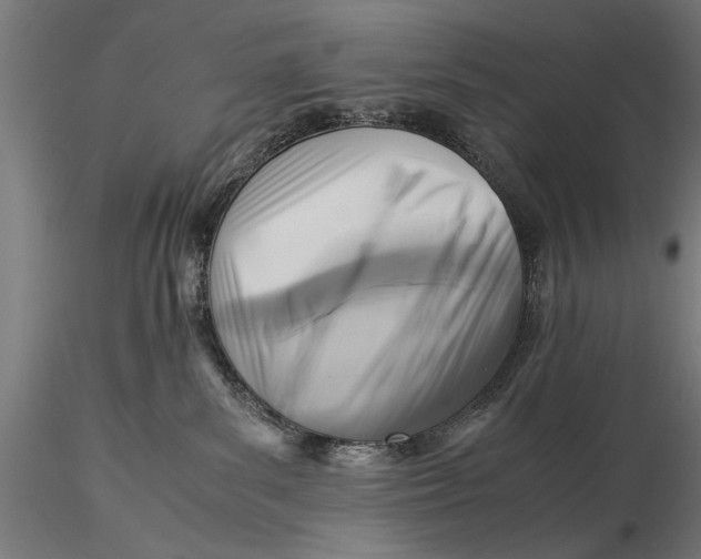 X0000116060139200912111537