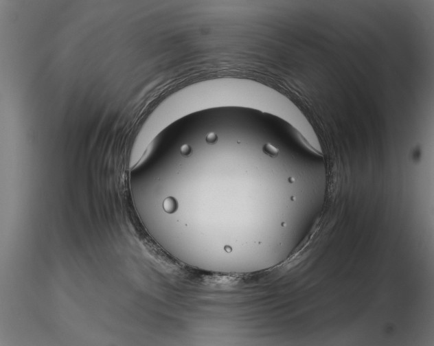 X0000116060140200912111537