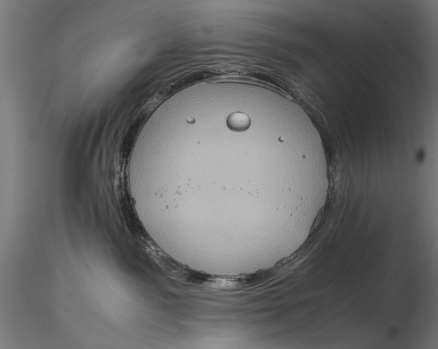 X0000116060141200912111537
