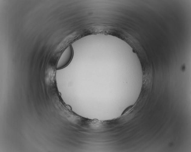 X0000116060142200912111537
