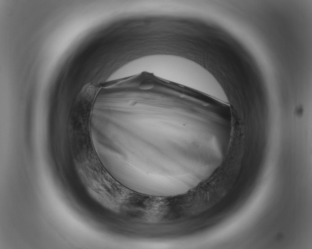 X0000116060143200912111537