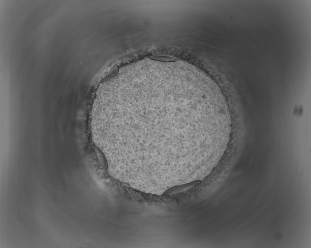 X0000116060144200912111537