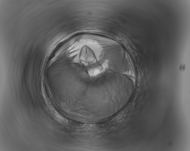 X0000116060145200912111536
