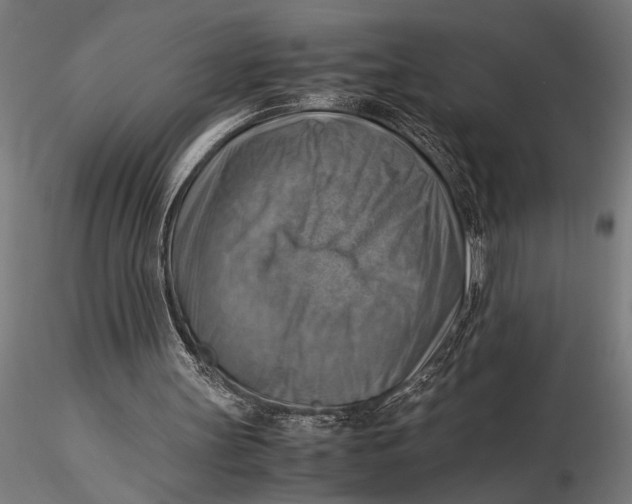X0000116060147200912111536