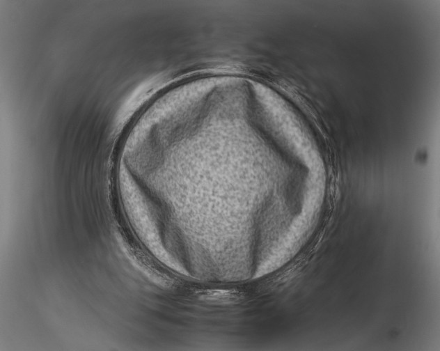 X0000116060151200912111536