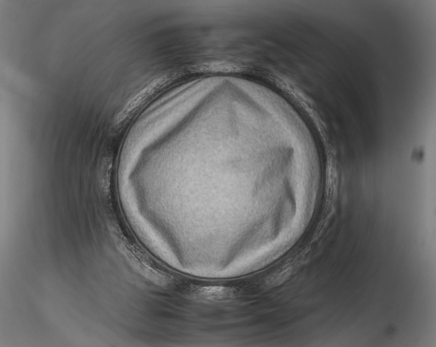 X0000116060153200912111536