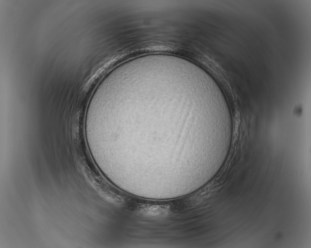 X0000116060155200912111536