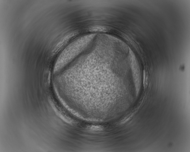 X0000116060157200912111536