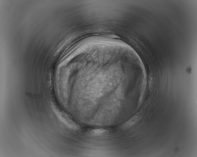 X0000116060158200912111536
