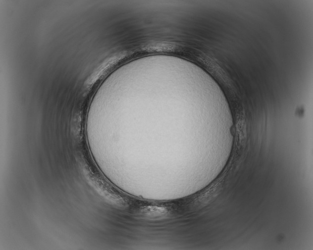 X0000116060159200912111536