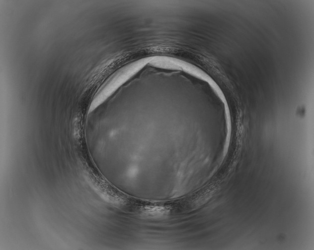 X0000116060161200912111536