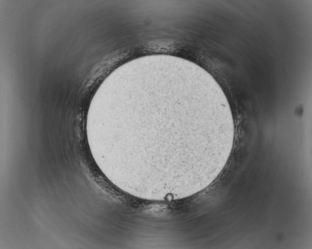 X0000116060162200912111536