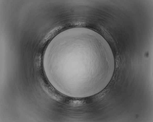 X0000116060163200912111536