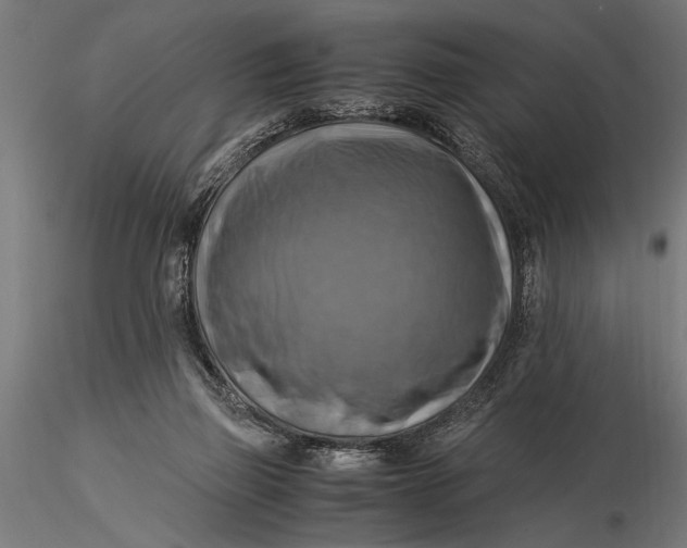 X0000116060165200912111536