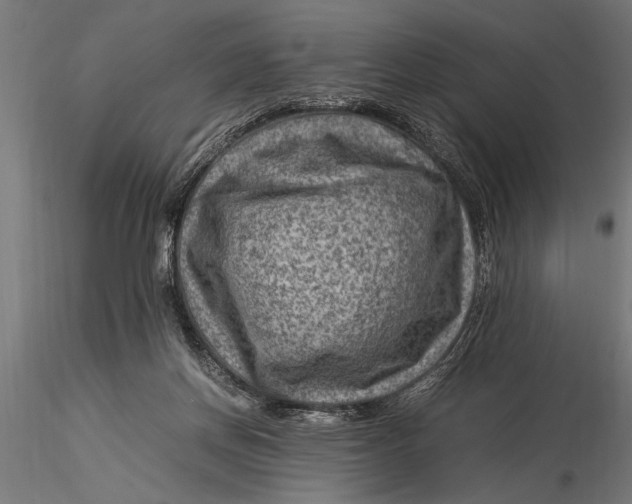 X0000116060166200912111536