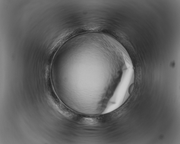 X0000116060167200912111536