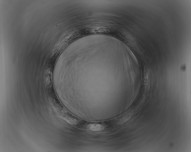 X0000116060169200912111536