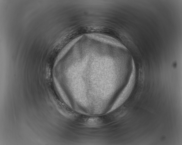 X0000116060173200912111536