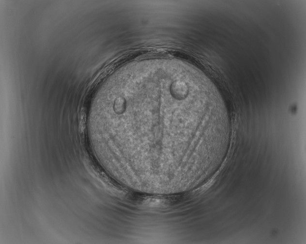 X0000116060174200912111536